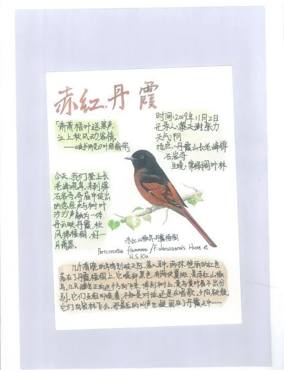 大赛作品.jpg 大赛作品.jpg