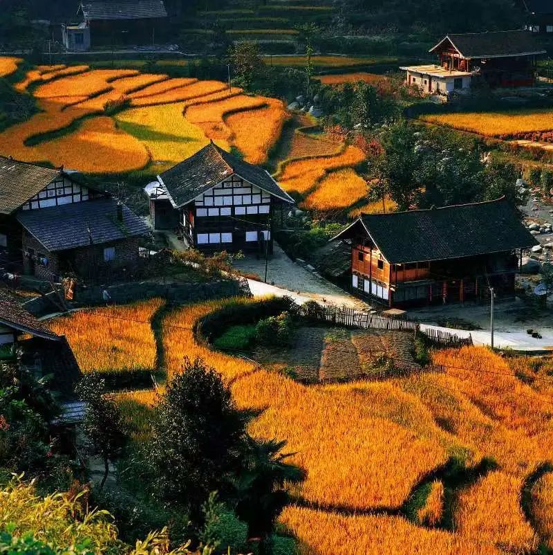 梯田.png