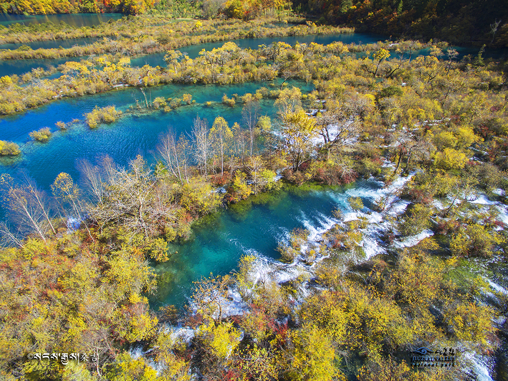 群海秋色拍摄时间为2017年11月1日拍拍摄于九寨沟景区树正群海 为了展现九寨色彩最丰富的季节树正群海全景采用了高空航拍摄影 桑吉摄.jpg