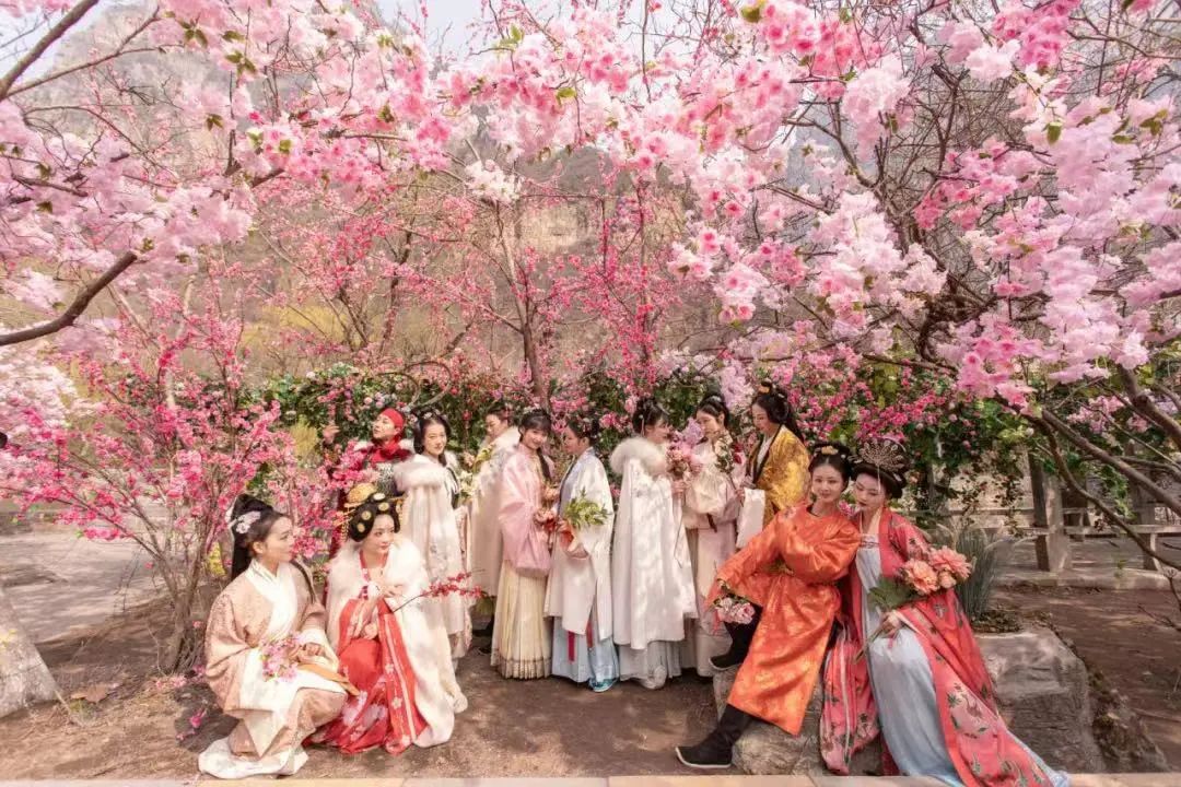 云台山花朝节.jpg 云台山花朝节.jpg