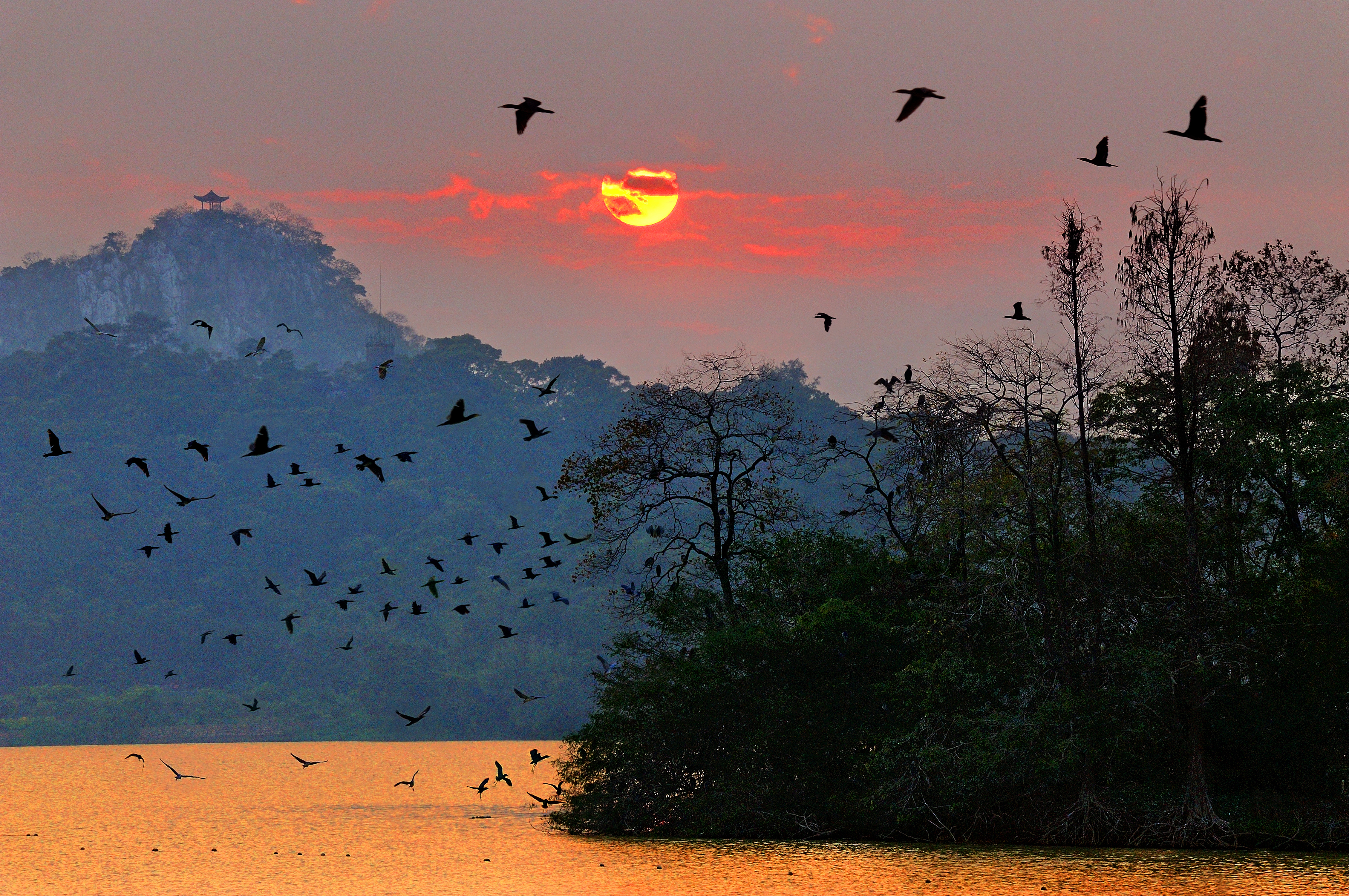 18. 何异能+南方鸟岛.jpg