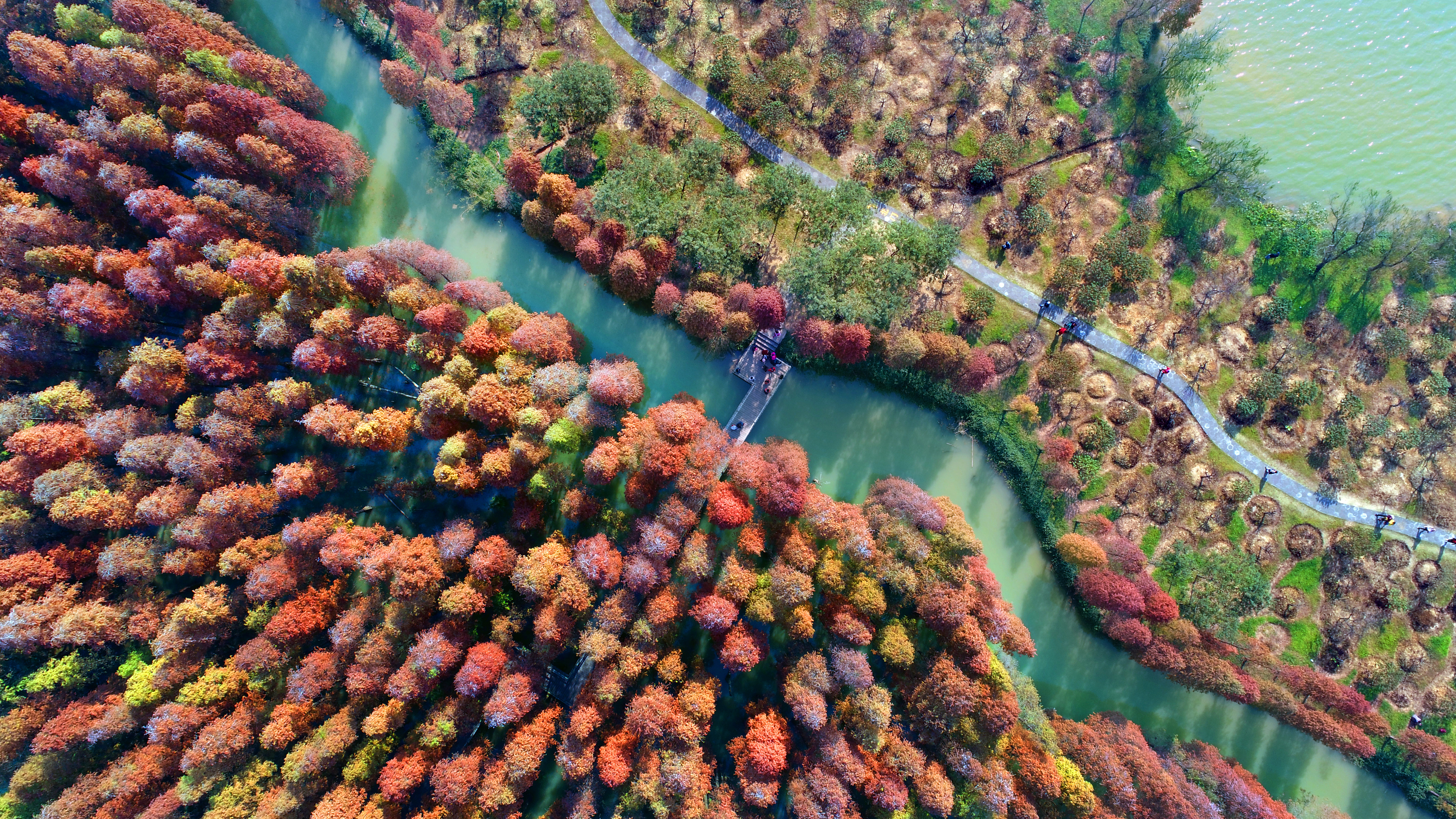 斑斓秋韵 李金泉摄.JPG