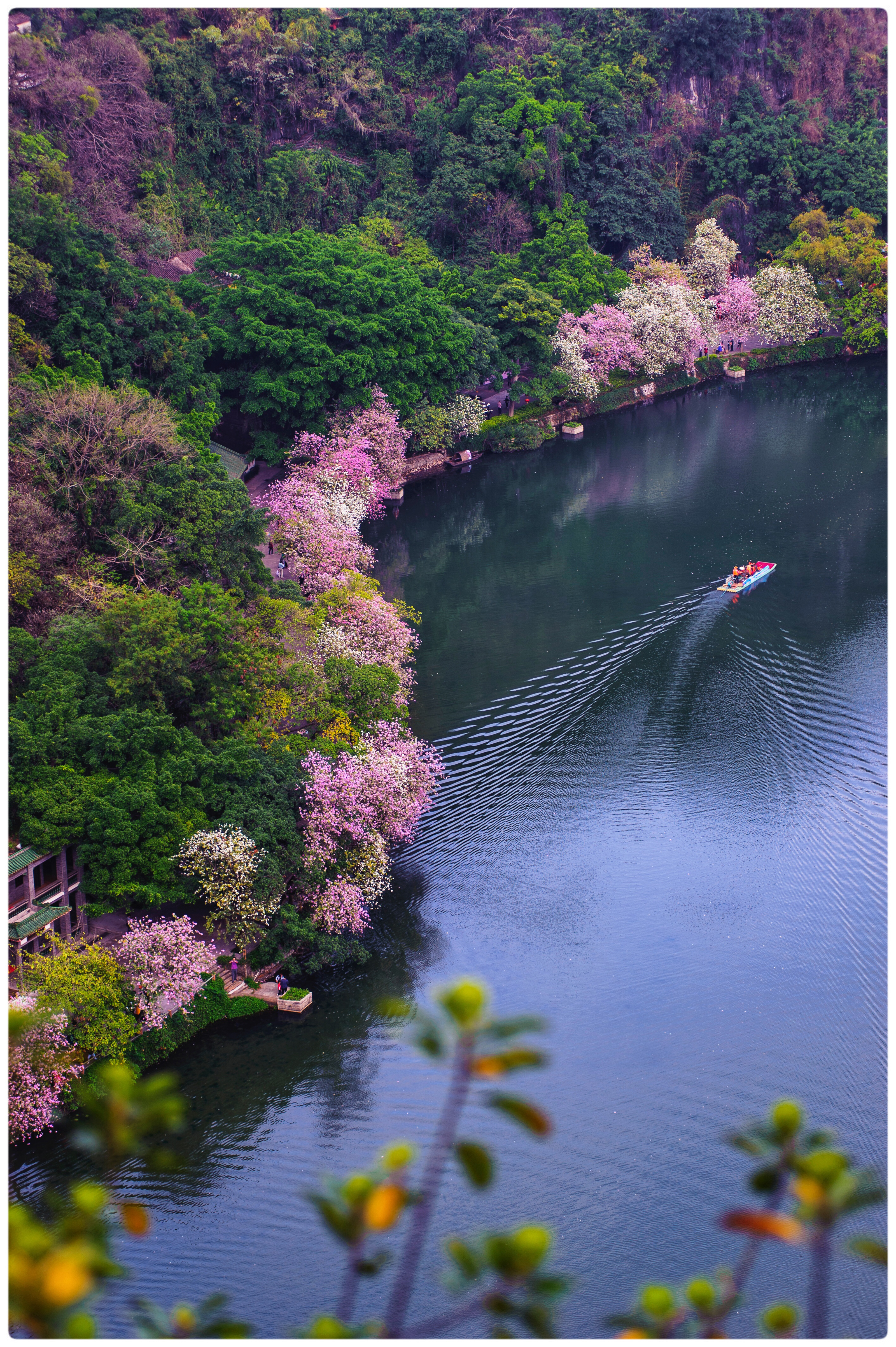 星湖春晓 陈荣敏.jpg