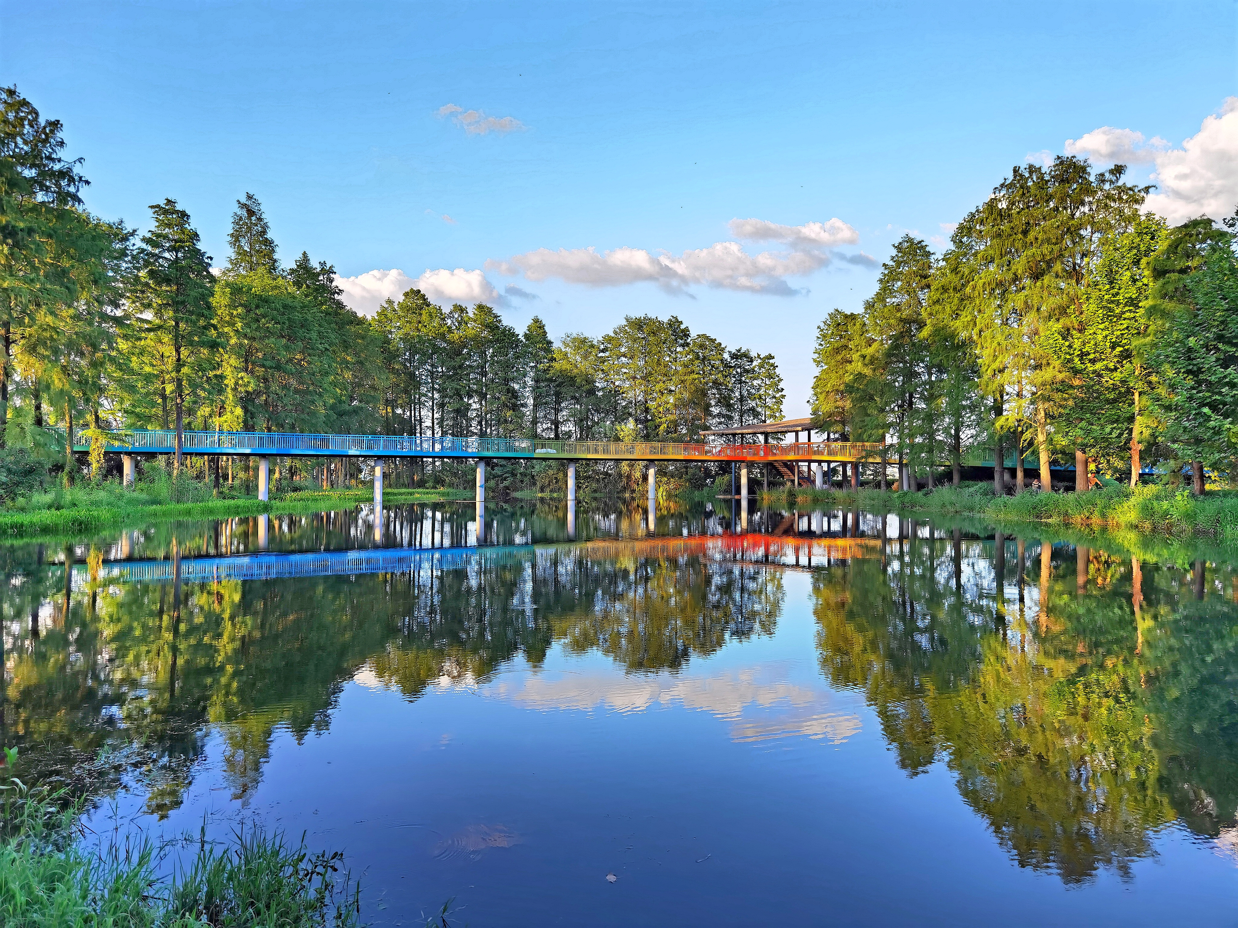 湿地流彩(马戎 摄).jpg 湿地流彩(马戎 摄).jpg