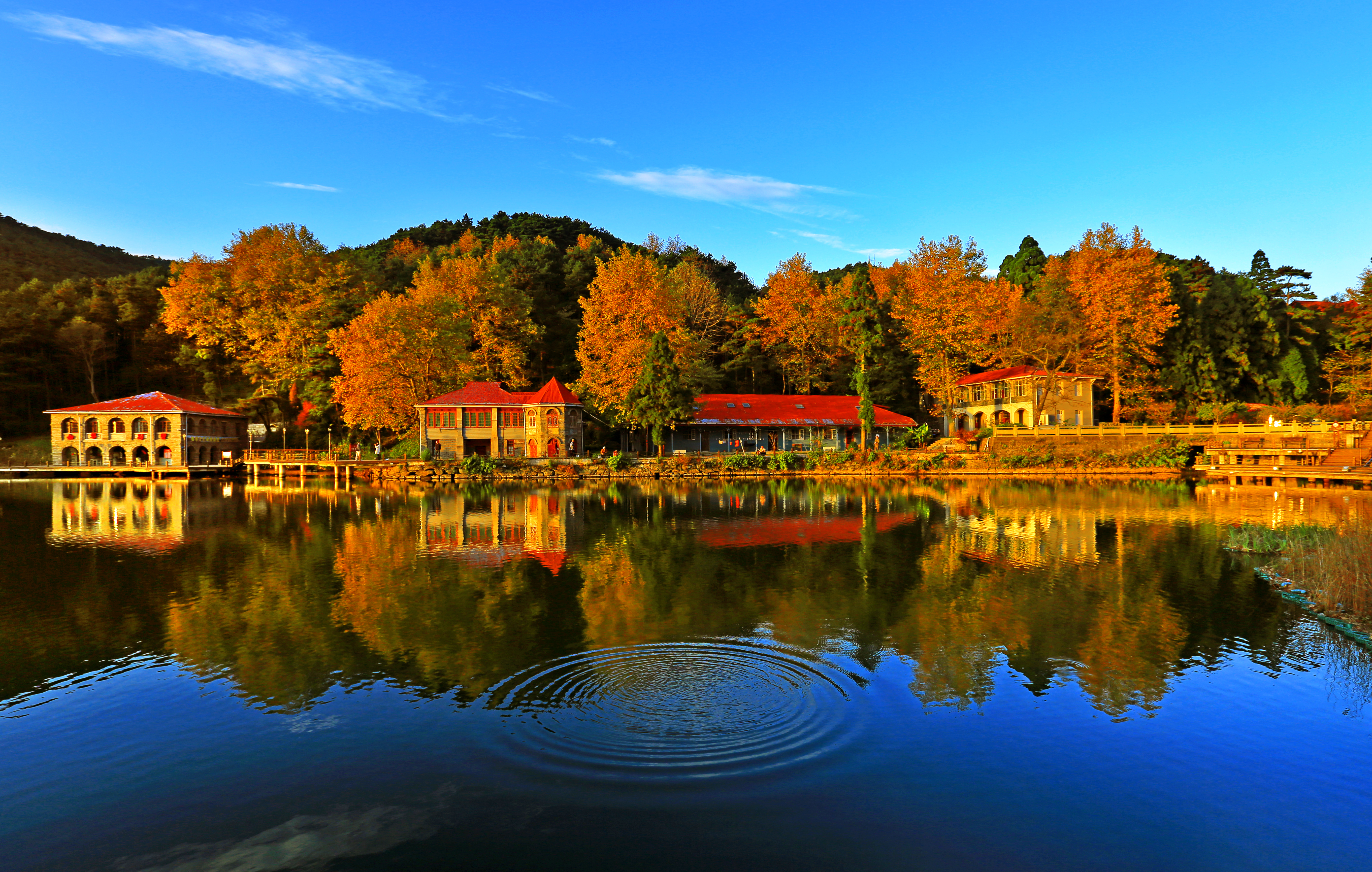 《别墅金秋》 张琼摄于庐山.jpg