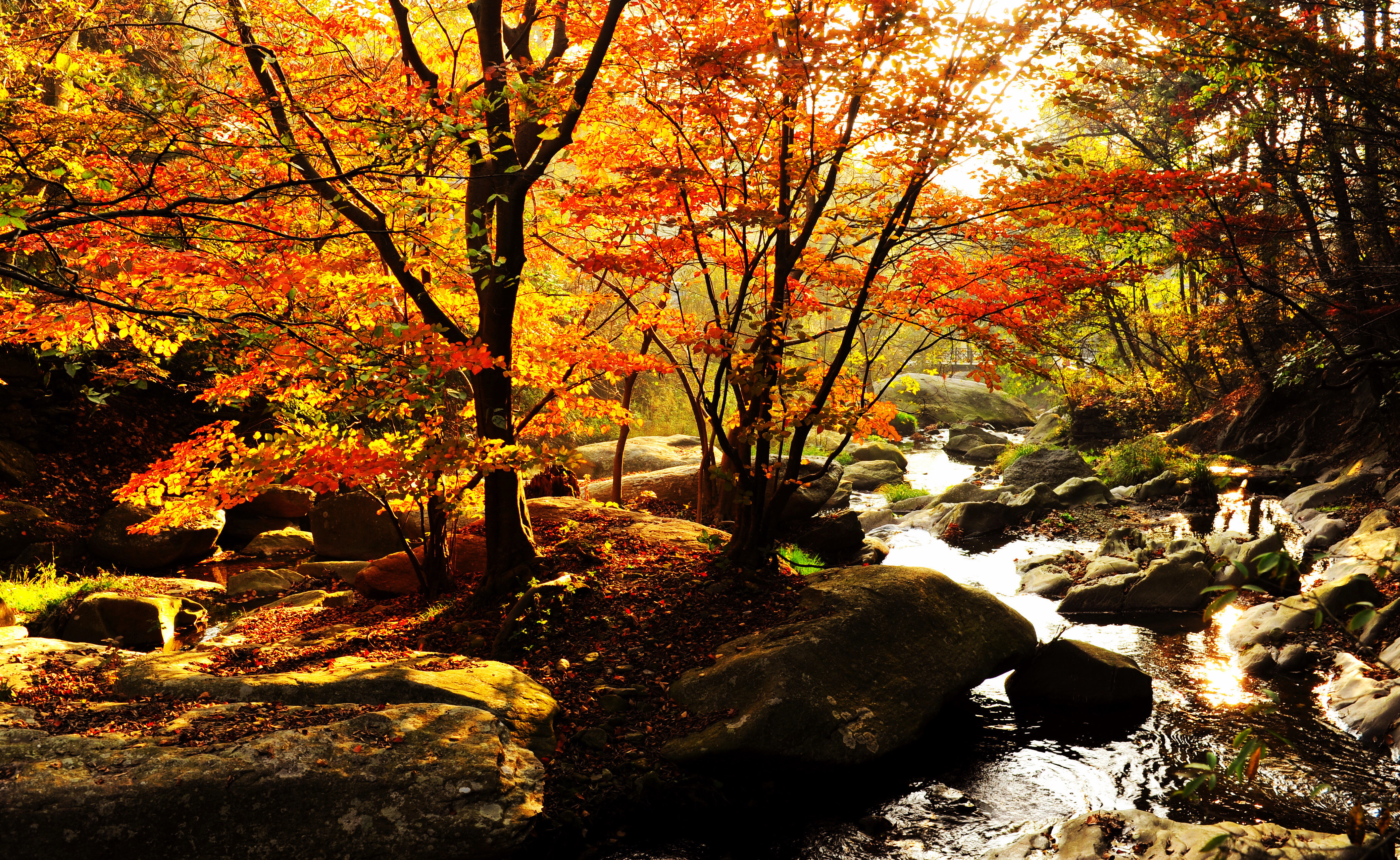 纪连俊《东谷之韵》自然风光 庐山.jpg