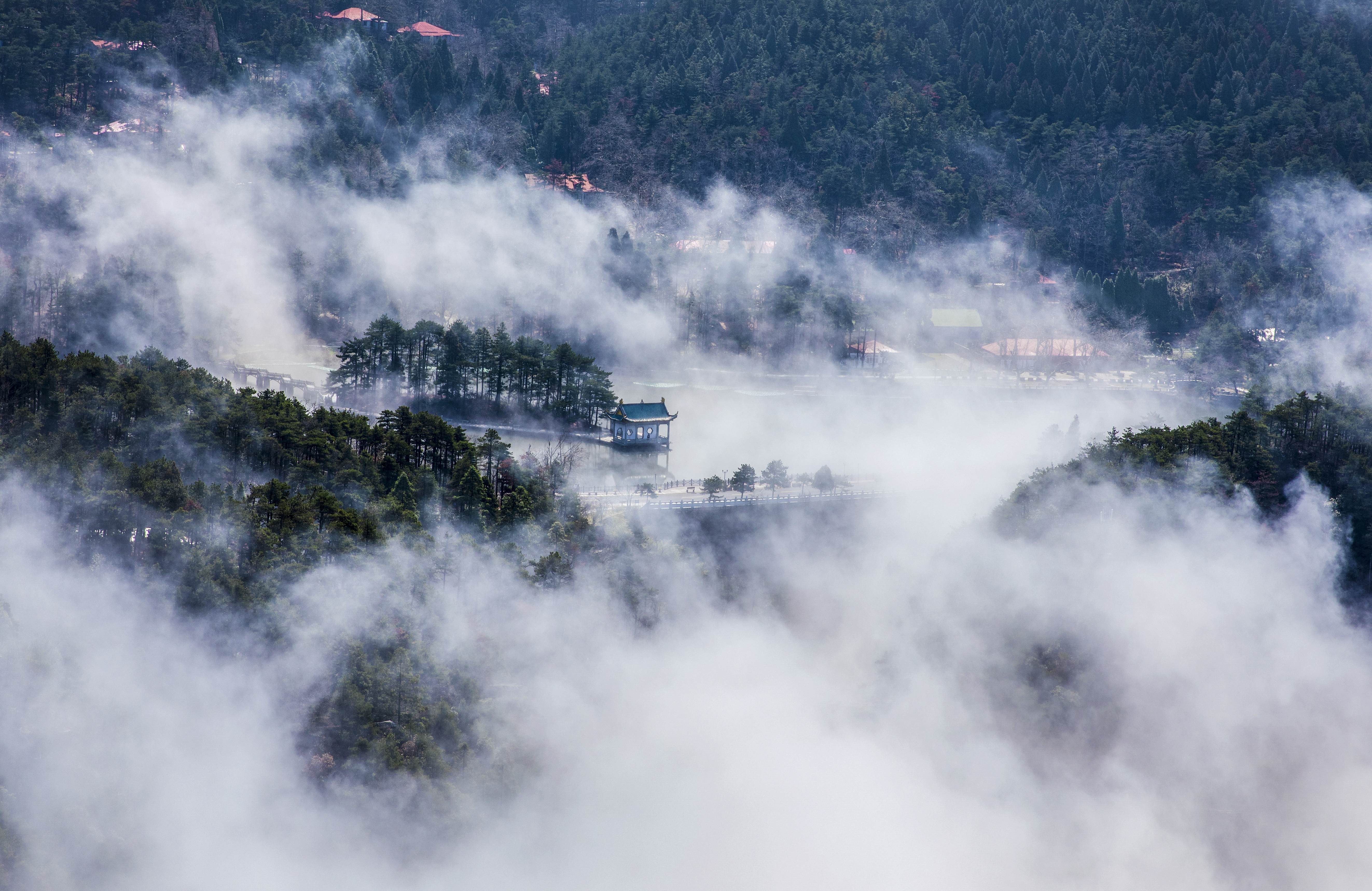 如琴仙境 刘海秋（刘海秋，2020年3月7日拍摄于庐山风景区）大图.jpg