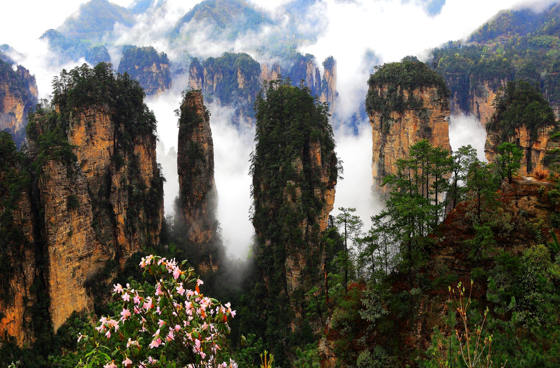 春到黄石寨 .JPG